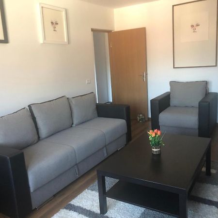 Apartament Belvedere Calimanesti Ngoại thất bức ảnh